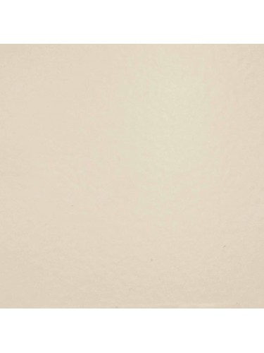 Appui alvéolaire de 123 mm (longueur 1,80 m) - Beige RAL 1015