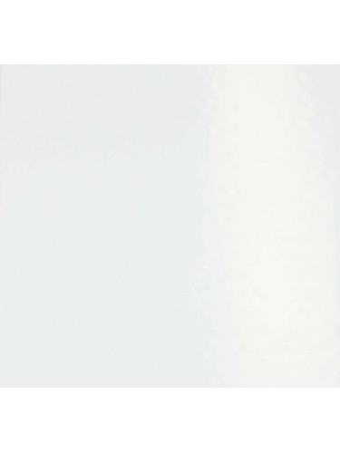 Cornière PVC 40 x 60 x 2 mm (longueur 2m) blanc RAL 9010